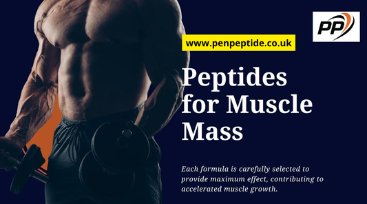 Peptides for muscle mass